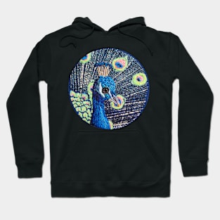 Peacock Embroidery Hoodie